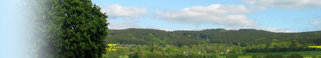 Reinersreuth